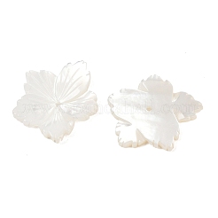 Perles sculptées en coquillage blanc naturel&nbsp;SSHEL-B006-06