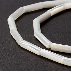 Natürliche Trochidschale / Trochusschalenperlen&nbsp;SSHEL-O001-26B