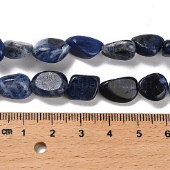 Perline sodalite naturale fili&nbsp;LS-G-P497-01E-55