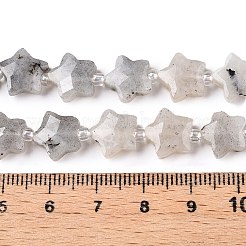Natürliche graue Labradoritperlenstränge&nbsp;G-T138-184