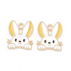 Pendentifs d'émail en alliage&nbsp;X-PALLOY-D015-08