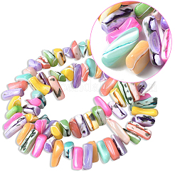 1 brin de perles de coquillage de troca naturelles teintes&nbsp;SSHEL-PA0001-01A