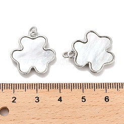 Muschelanhänger aus Messing mit Pavé-Fassung&nbsp;KK-K365-08A-P