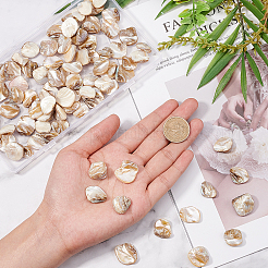 Shell perle naturali di acqua dolce&nbsp;SSHEL-CA0001-01