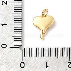 Charms in ottone&nbsp;KK-Z135-15A-G