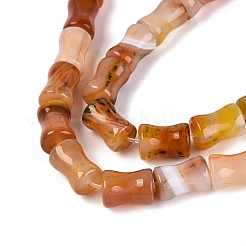 Chapelets de perles d'agate naturelle&nbsp;G-Q606-61