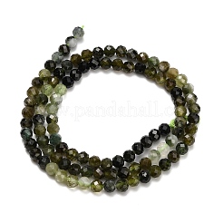 Brins de perles de tourmaline verte naturelle&nbsp;G-G302-A01-4mm
