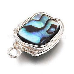 Natürliche Abalone Muschel / Paua Muschel Anhänger&nbsp;PALLOY-JF00477-04