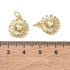 Pendentifs en laiton&nbsp;KK-D289-20G