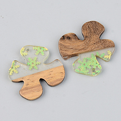 Colgantes de resina transparente y madera de nogal&nbsp;RESI-S389-052B-D01
