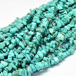 Brins de perles de copeaux de magnésite naturelle teinte, turquoise foncé, 5~14x5~10mm, Trou: 1mm, environ 33.85 pouce