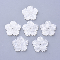 Perle di cellulosa acetato (resina), fiore, bianco crema, 26.5x27.5x3mm, Foro: 1.5 mm