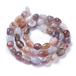 Chapelets de perles en agate naturelle du Botswana, pierre roulée, pépites, 7~11x7~8mm, Trou: 1mm, Environ 47~48 pcs/chapelet, 15.94 pouce (40.5 cm)