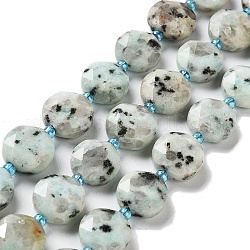 Jaspe de sésame naturel / perles de jaspe kiwi, avec des perles de rocaille, coupe hexagonale facettée, plat rond, 12~12.5x5~6mm, Trou: 1.2~1.4mm, Environ 27~29 pcs/chapelet, 15.55~15.75 pouce (39.5~40 cm)