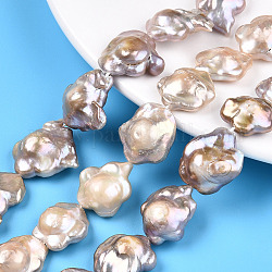 Brins de perles keshi nucléées naturelles baroques, perle de culture d'eau douce, fleur, brun rosé, 15~30x15~23.5x6~10mm, Trou: 0.6mm, Environ 18~24 pcs/chapelet, 14.96~15.75 pouce (38~40 cm)