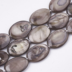 Shell perle d'acqua dolce fili, tinto, ovale, marrone rosato, 17.5~18x12~13x3mm, Foro: 1 mm, circa 23pcs/filo, 16.3 pollice