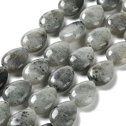 Natural Labradorite Beads Strands, Teardrop, 17.5~18x13x6mm, Hole: 1.2mm, about 22pcs/strand, 15.24 inch(38.7cm)