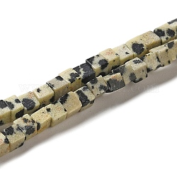 Natur Dalmatiner Jaspis Perlen Stränge, Würfel, 2~2.5x2.5~3.5x2.5~3 mm, Bohrung: 0.4 mm, ca. 157~165 Stk. / Strang, 14.96~15.75'' (38~40 cm)