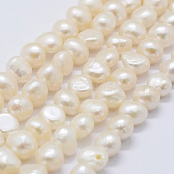 Fili di perle di perle d'acqua dolce coltivate naturali, due lati lucido, vecchio pizzo, 7.5~10x7~9x5~7mm, Foro: 0.2 mm, circa 42pcs/filo, 13.7 pollice