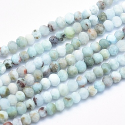 Chapelets de perles en larimar naturel, grade AB, facette, rondelle, 3x2.5mm, Trou: 0.5mm, Environ 153 pcs/chapelet, 15.5 pouce