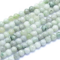 Natural Myanmar Jade/Burmese Jade Beads Strands, Round, 4mm, Hole: 0.7mm, about 93pcs/strand, 15.75 inch(40cm)