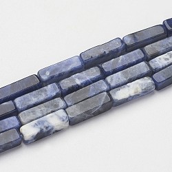 Natural Sodalite Beads Strands, Cuboid, 13~13.5x3~5x3~5mm, Hole: 0.5mm, about 29~31pcs/strand, 15.3~15.7 inch(390~400mm)