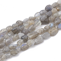 Chapelets de perles en labradorite naturelle , pierre roulée, pépites, 2~19x3~8x2~7mm, Trou: 1mm, Environ 50~55 pcs/chapelet, 15.55 pouce