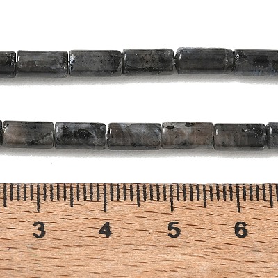 Natürliche Larvikit-Perlenstränge&nbsp;G-B091-A20-01-1