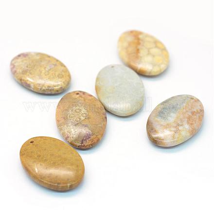 Oval Natural Fossil Coral Pendants G-R347-12-1