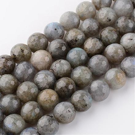 Chapelets de perles en labradorite naturelle G-H048-10mm-1