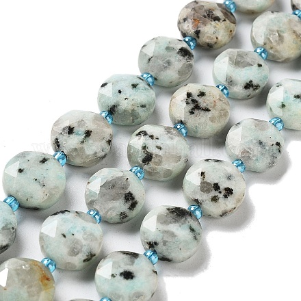 Natürliche Sesam Jaspis / Kiwi Jaspis Perlen Stränge G-NH0004-013-1