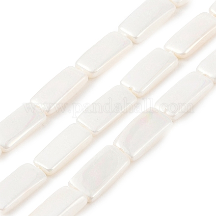 Perles de perles de coquille galvanoplastie&nbsp;BSHE-C007-D01-01-1