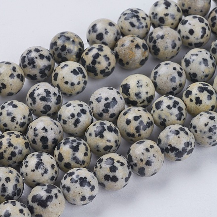 Natur Dalmatiner Jaspis Perlen Stränge X-G-G515-10mm-06-1