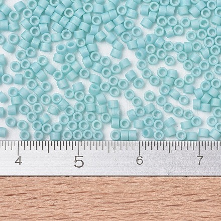 Perline miyuki delica piccole SEED-X0054-DBS1595-1