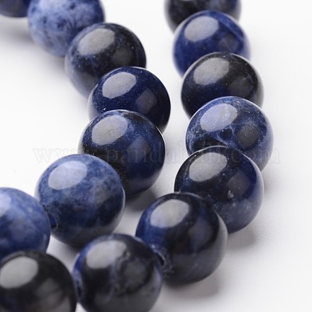 Brins ronds de perles de sodalite naturelle G-J346-24-10mm-1