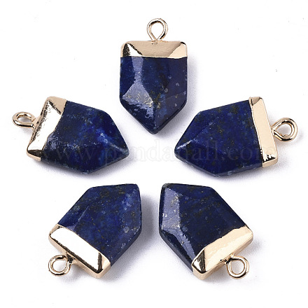 Lapis-lazuli naturelles ont fait pendentifs G-N326-34E-1