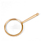 1Pc Aluminum Magnifying Glass, with Glass, Golden, 202x95x14mm