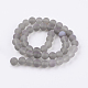 Natural Grey Agate Bead Strands G-H055-10mm-2