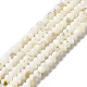 Eau douce naturelle de coquillage perles brins BSHE-E026-15A-01-2