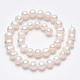Klasse eine natürliche kultivierte Süßwasserperle Perlen Stränge X-PEAR-L001-B-08-2