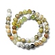 Chapelets de perles en opale vert naturel G-C029-02A-3