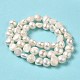 Natural Cultured Freshwater Pearl Beads Strands PEAR-E017-11-3