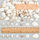 Olycraft 140Pcs 7 Style Natural Conch Shell Beads BSHE-OC0001-01-2