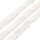 Perles de perles de coquille galvanoplastie&nbsp;BSHE-C007-D01-01-1