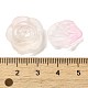 Perles en acrylique transparente OACR-H039-04D-3