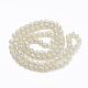 Chapelets de perles en verre électrolytique  EGLA-R109-01-2