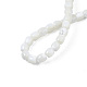 Fili di perle di conchiglia trochid naturale / trochus SSHEL-N034-121-B01-4