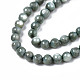Eau douce naturelle de coquillage perles brins SHEL-N003-24-B01-3