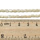 Brins de perles de coquillages naturels de troca SSHEL-H072-02B-4