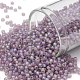 Toho perles de rocaille rondes SEED-TR11-0166F-1